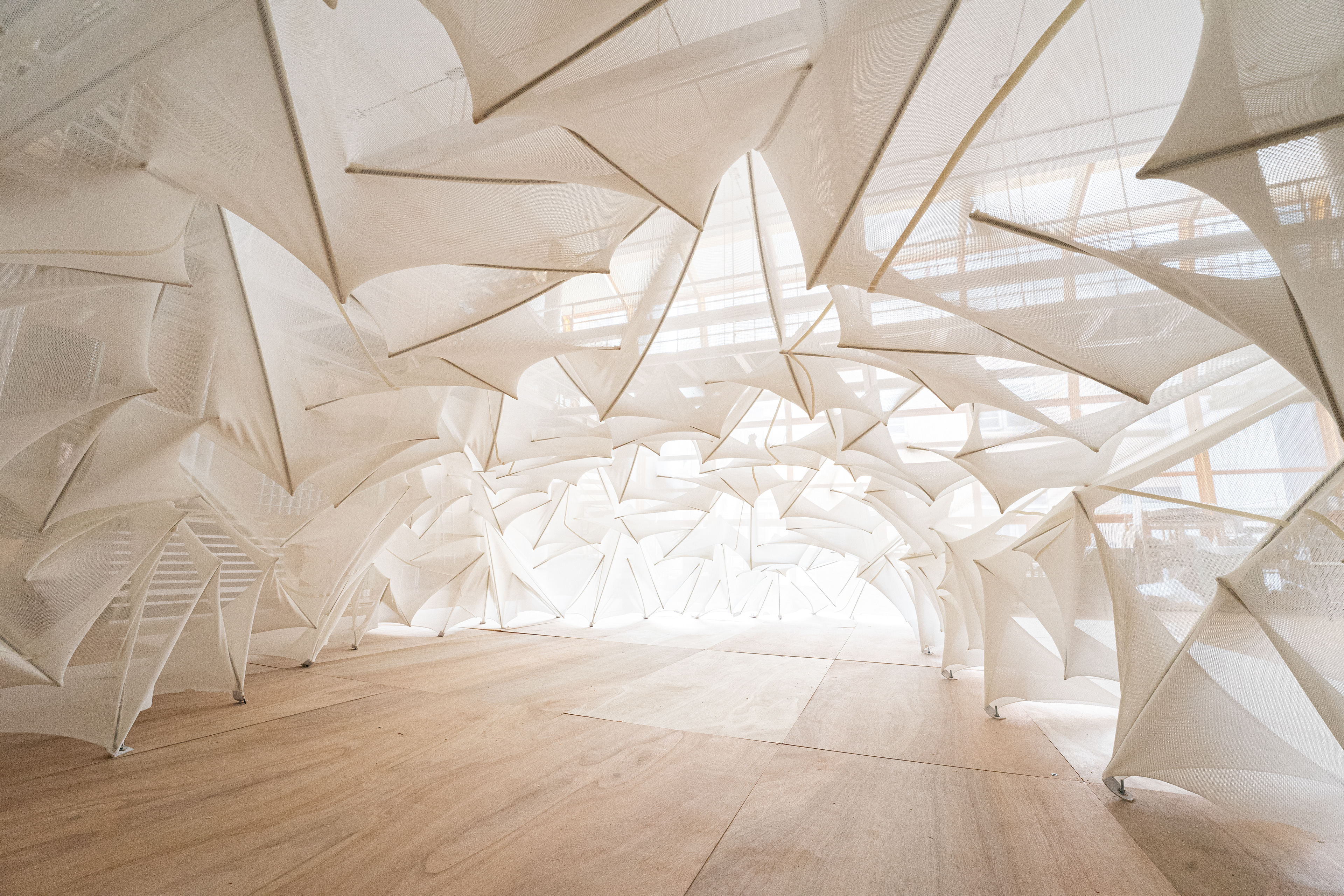 Freeform Membrane Tensegrity