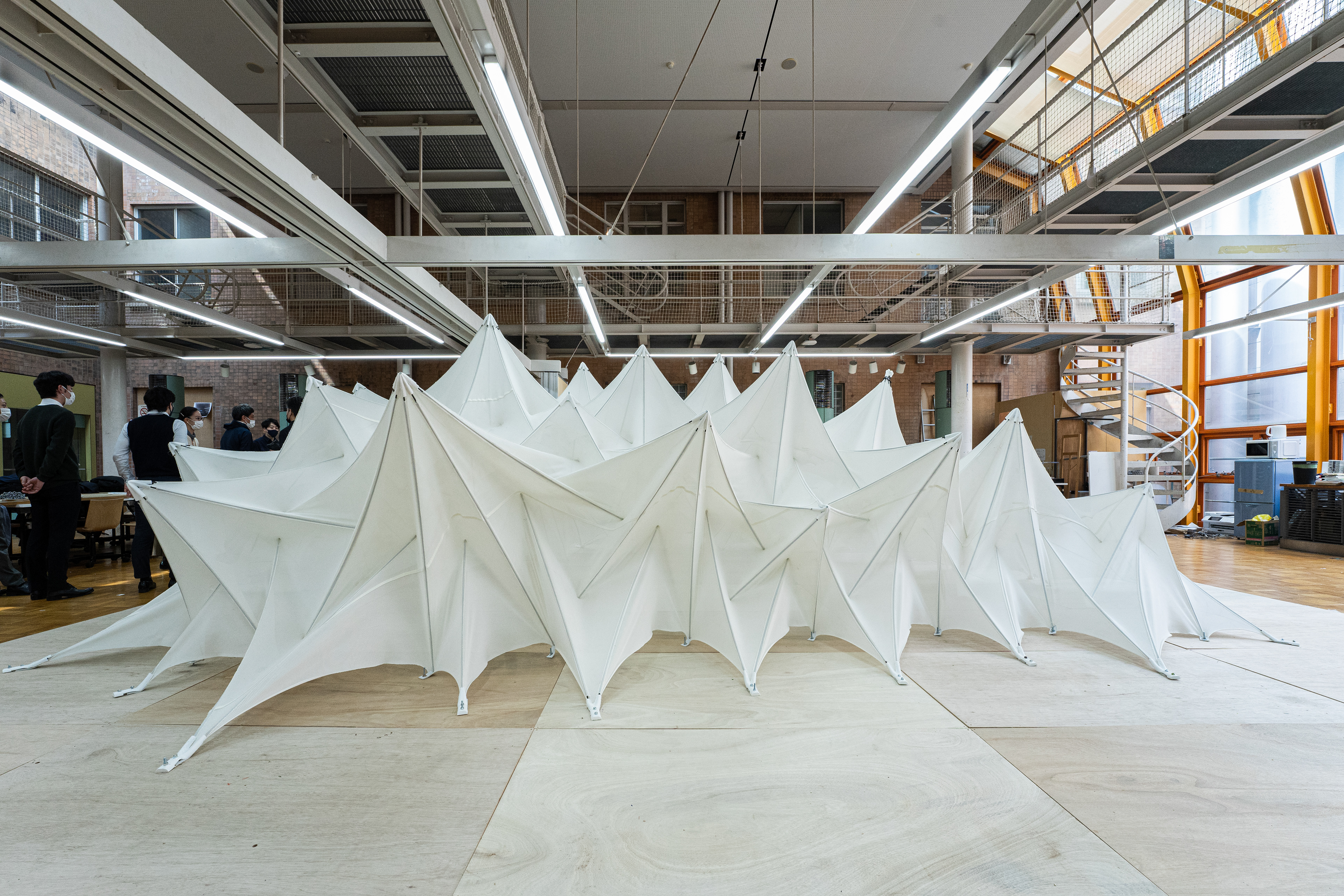 Freeform Membrane Tensegrity