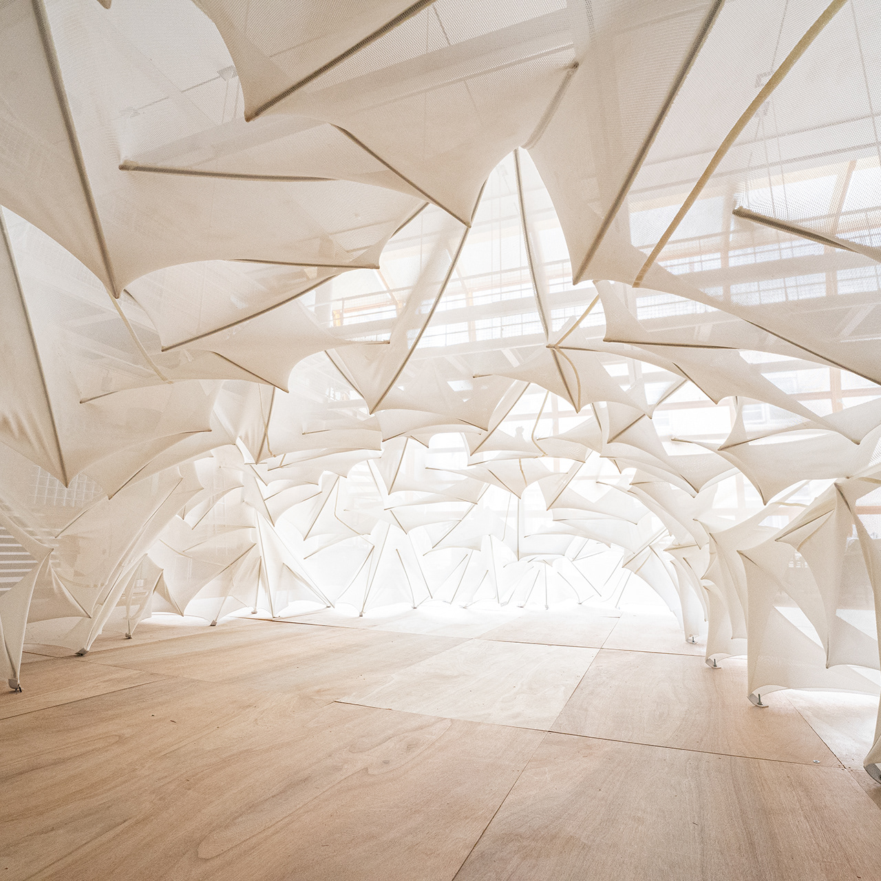 Freeform Membrane Tensegrity