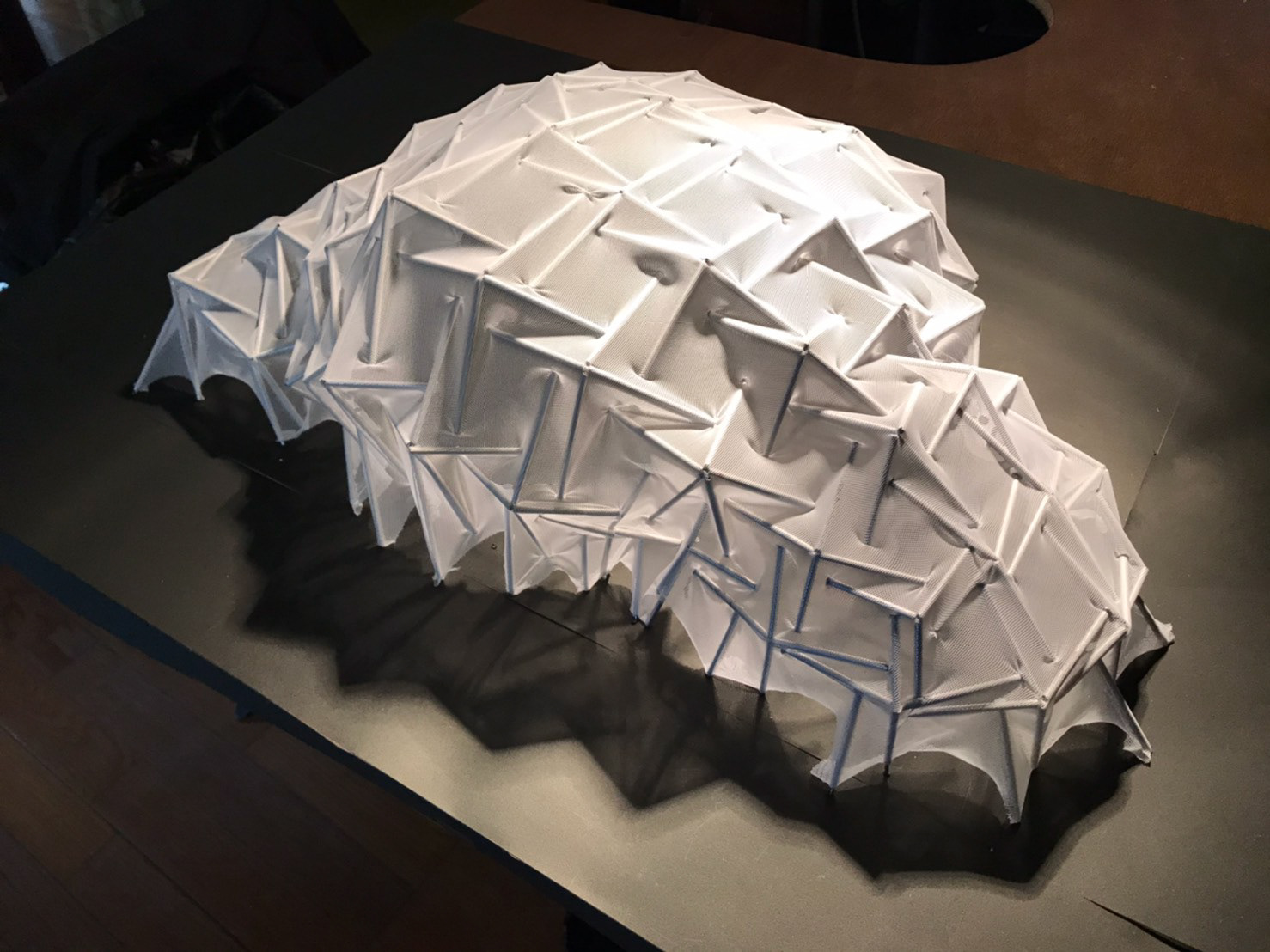 FUGU