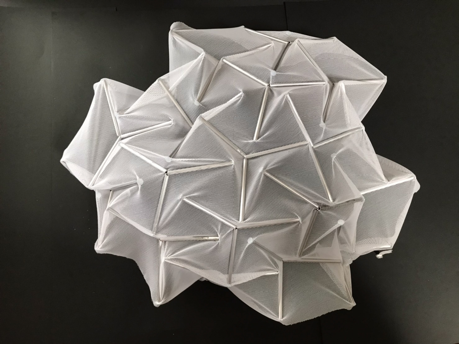FUGU