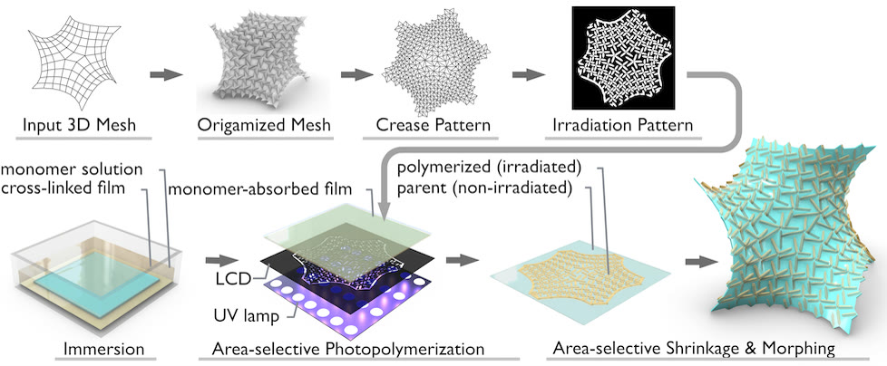 Polymer Membrane Tensegrity